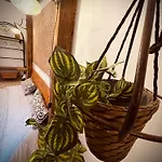 Il Vecchio Cortile Apartmán *