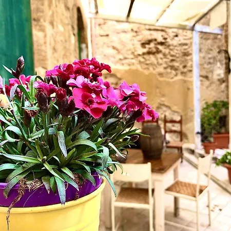 Il Vecchio Cortile Apartamento *