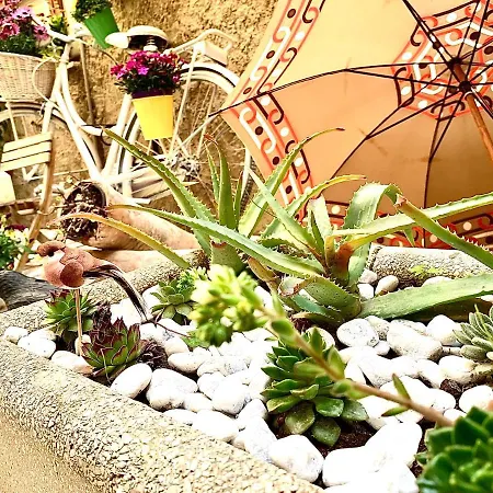 Apartamento Il Vecchio Cortile