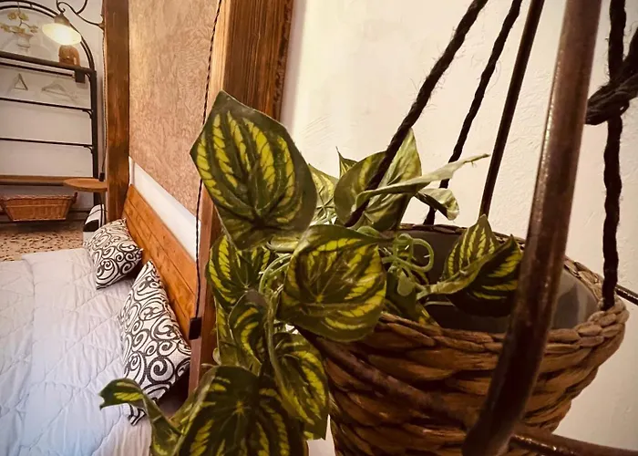 Il Vecchio Cortile アパート *