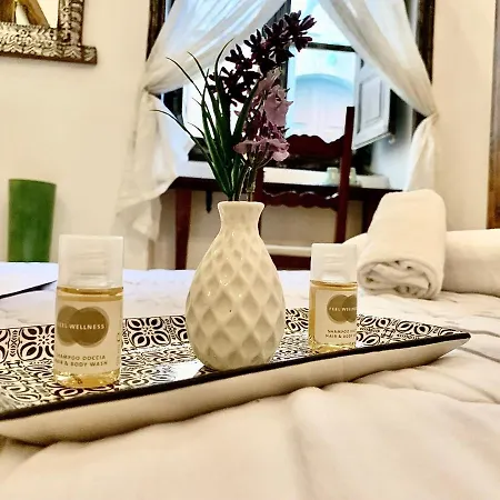 公寓 Il Vecchio Cortile *