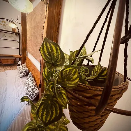 Il Vecchio Cortile 公寓 *